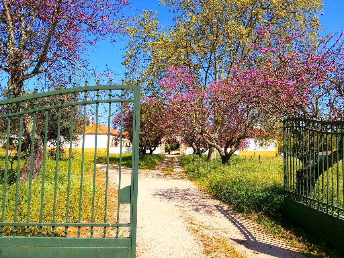 אלמיירים Casas Herdade Do Convento Da Serra מראה חיצוני תמונה