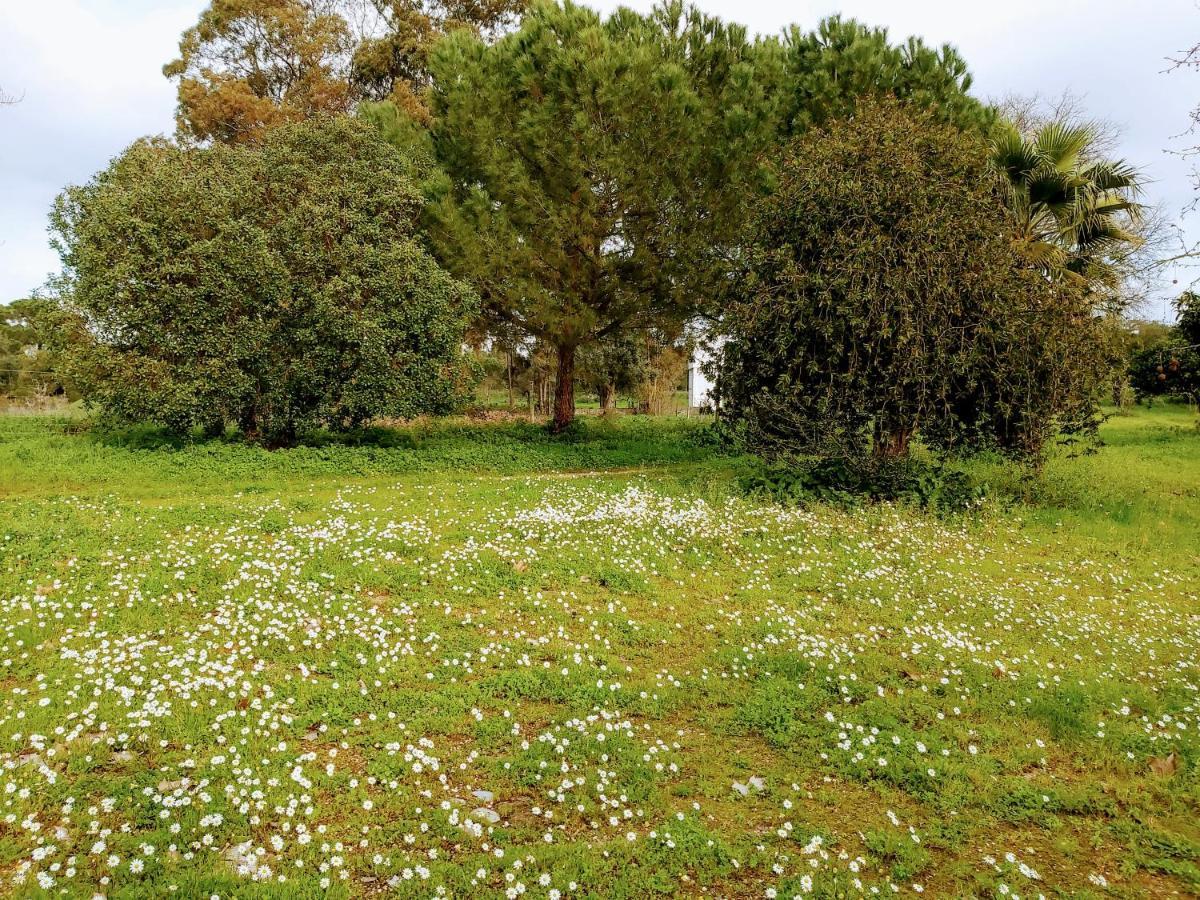 אלמיירים Casas Herdade Do Convento Da Serra מראה חיצוני תמונה