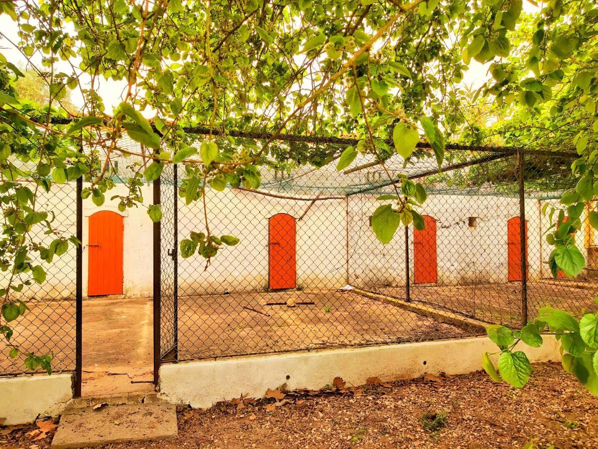 אלמיירים Casas Herdade Do Convento Da Serra מראה חיצוני תמונה