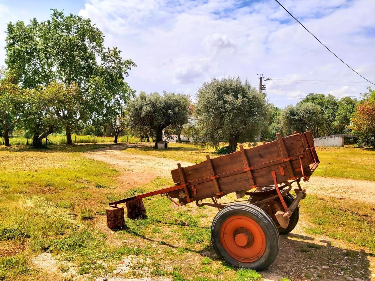 אלמיירים Casas Herdade Do Convento Da Serra מראה חיצוני תמונה